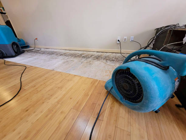 Professional Structural Drying technician working in Princeton, MA